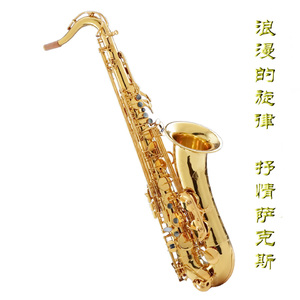 你能帮我下个黄色一级带
